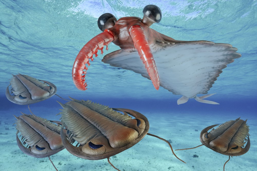 07_Anomalocaris_Trilobiten.jpg