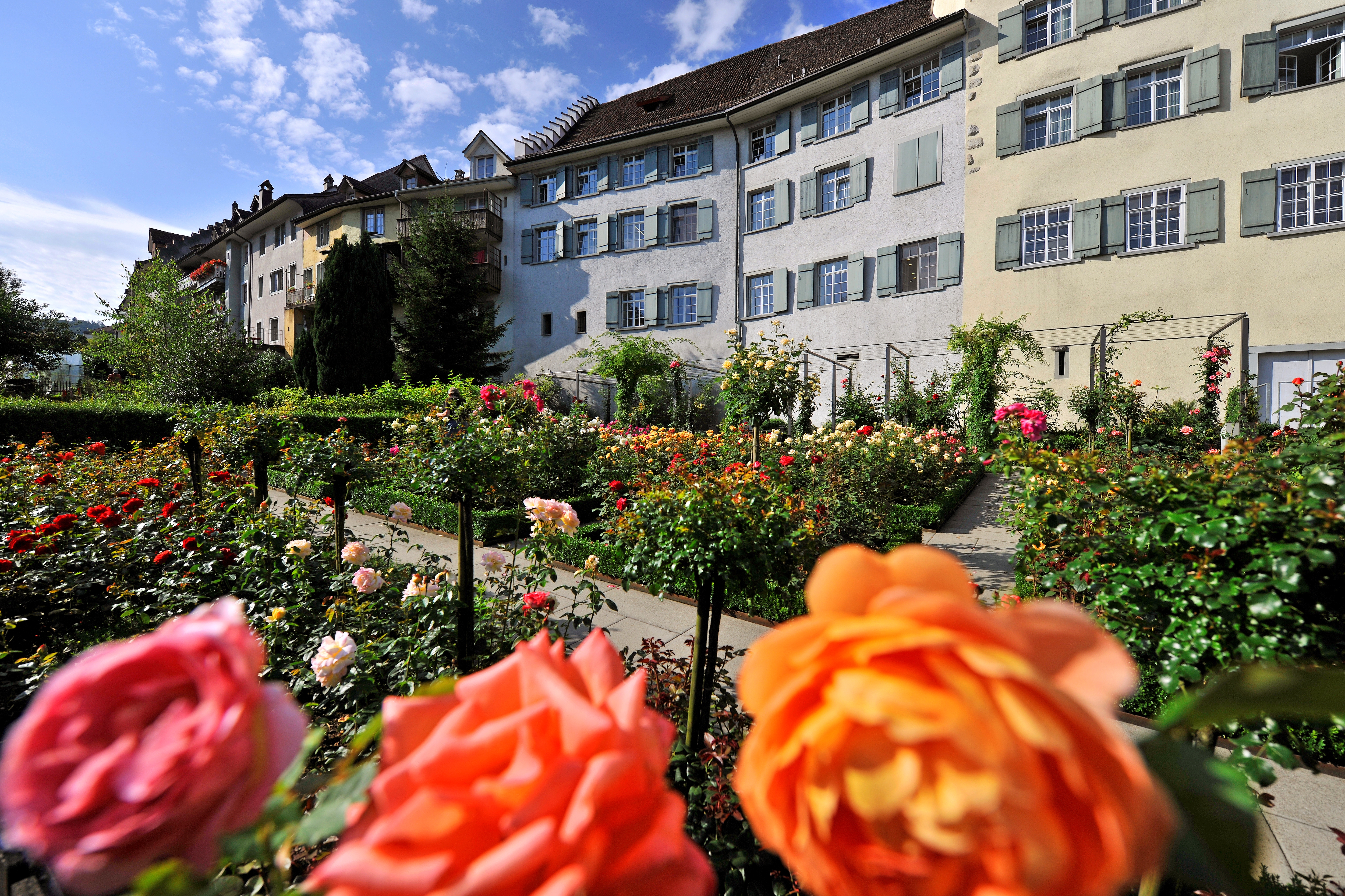 Bischofszell_Altstadt_Rosen_Garten.jpg