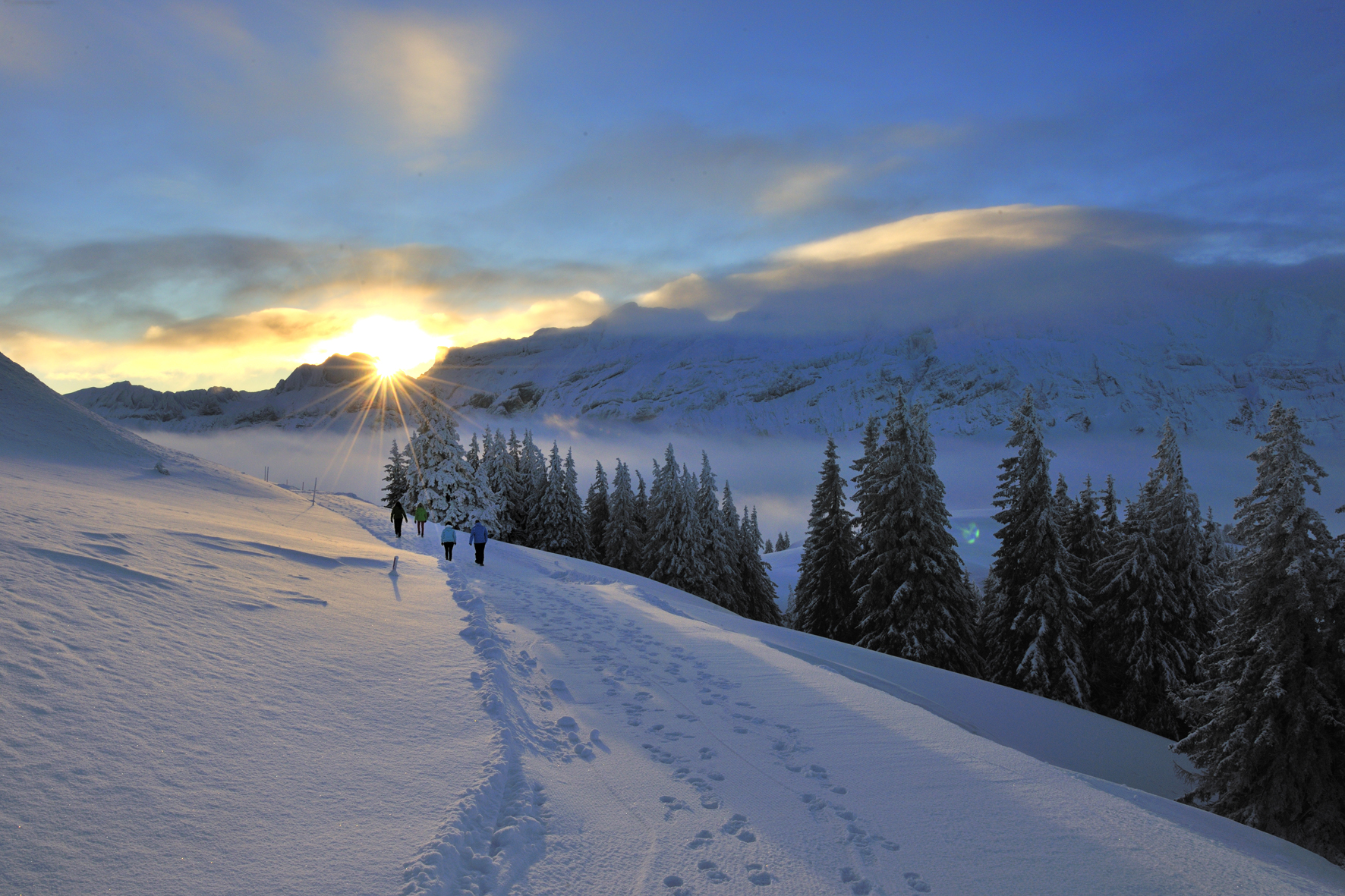 Winterwandern_CP_5.jpg